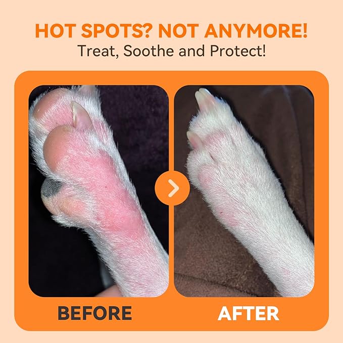 PUAINTA Hot Spot Spray for Dogs, Upgraded Quantum Silver Skin Spray for Dogs, Itch Relief and Hot Spot Treatment for Dogs, Supports Skin Infections and Irritations for All Animals, 4oz
