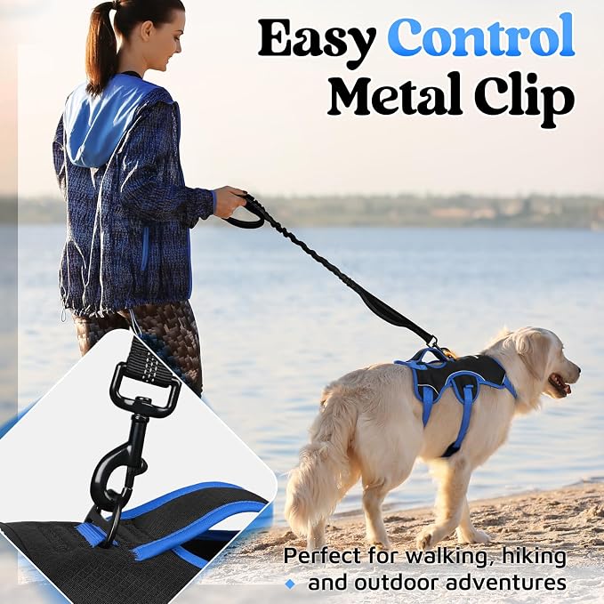 rabbitgoo Escape Proof Dog Harness for Large, No Pull with Lift Handle | No Escape, Full Soft Padded, Reflective Adjustable Vest, Leash Clip for Walking Hiking Training, Blue & Black, Large