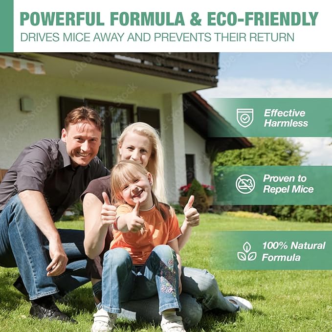 Mouse Repellent Balls: Rodent Repellent Balls - Mouse Repellent with Peppermint Oil - Natural Deterrent for Kitchen Warehouse Car - Mice Repellent for Indoor Outdoor - Safe for Pets Family - 12 PCS