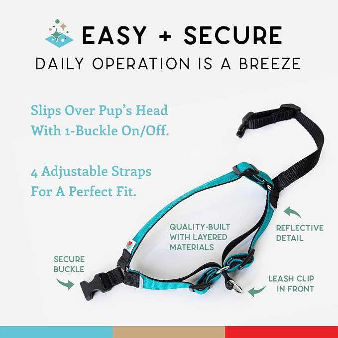 No Pull Dog Harness | Comfortable Training Harnesses | Effective No Pull Harness Design | Ideal for Small Dog and Puppy | 4-Point Adjustable (S -18~24 inch Girth, Turquoise)