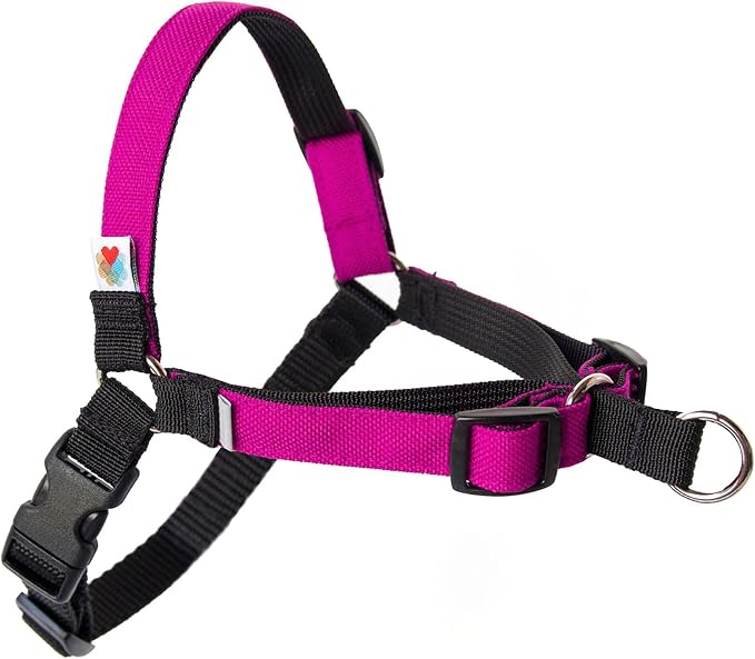 No Pull Dog Harness | Comfortable Dog Training Harnesses | Effective No Pull Harness Design | Ideal Dog Harness for Small Dog and Puppy | 4-Point Adjustable (XS - 15~20 inch Girth, Fuchsia)