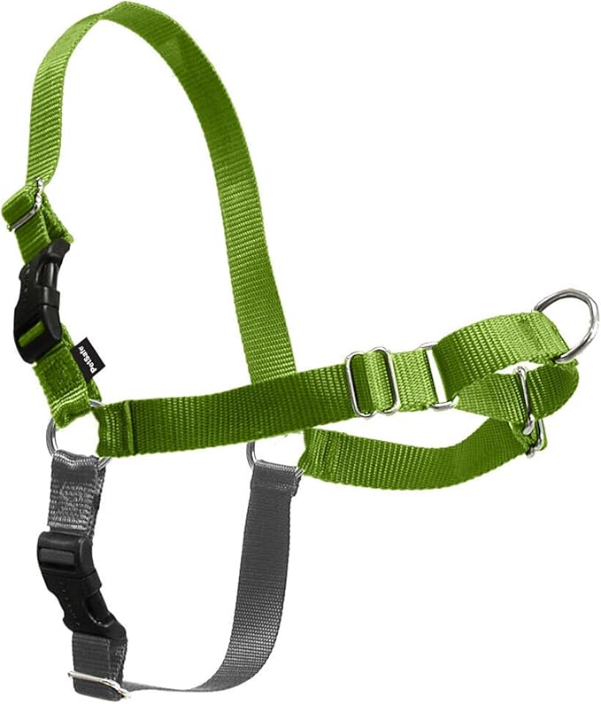 PetSafe Easy Walk Harness for Dogs - Pull-Free Walks - Patented Martingale Loop Design - Front Chest Leash Attachment - Comfort Straps - Breathable Harness Design - Small/Medium, Apple Green/Gray | Patented Martingale Loop Gives Gradual Shoulder Pressu...