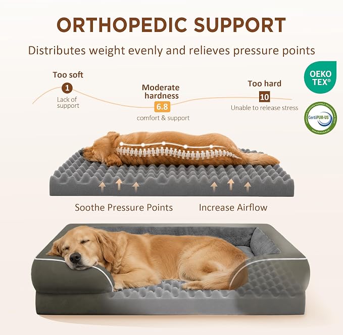 Comfort Expression Waterproof Orthopedic Dog Beds for Extra Large Dog | Supportive Egg Crate Foam XL Dog Bed with Removable Bolster, Dog Couch with Washable Cover & Non-Slip Bottom, 45x35 Inch