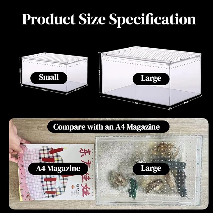 8x6x4 Inch Terrarium with Magnetic Top Sliding Lid, Clear View Critter Keeper & Spider Enclosure, Jumping Spider/Tarantula Habitat, Hermit Crab Tank, Tadpole to Frog Kit