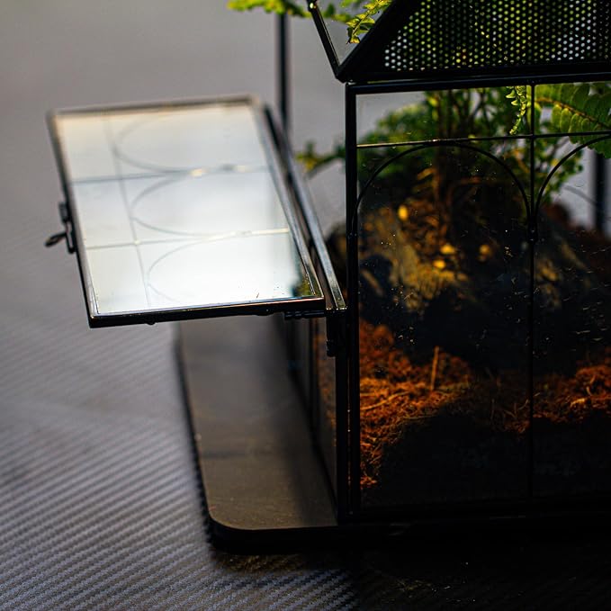NCYP Glass Enclosure with Vent Holes for Jumping Spiders, Praying Mantis, Small Insect - 7.5" x 4.9" x 9" Front Opening Door Vented Glass Terrarium - House Shape, Home Decor, Black (Terrarium Only)