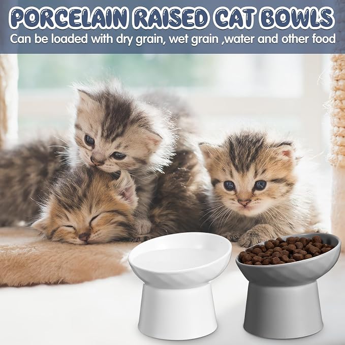 4 Pcs Ceramic Raised Cat Bowls, Elevated Tilted Cat Bowl for Food Water, Stress Free, Backflow Prevention, Dishwasher Microwave Safe, Feeder Dish for Indoor Kitten, Small Dogs(White and Grey)