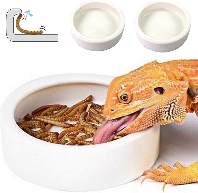 HELIME Reptile Food Dish Bowl, 2 Pack Worm Water Dish Small (2.75in) Lizard Gecko Ceramic Mealworms Bowls for Leopard Bearded Dragon Chameleon Hermit Crab Dubia Cricket Anti-Escape Superworm Feeder