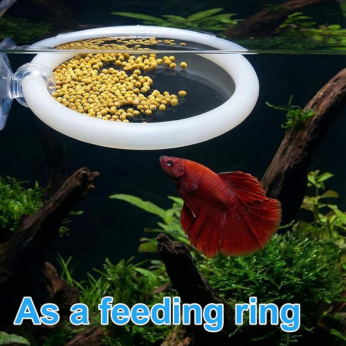 Xthrotsenk 2 Pcs Betta Enrichment Toys Betta Fish Toys Beta Exercise Ring Floating Mirror Set Fish Feeding Ring Bettas Tank Accessories for Aquarium Beta Tank