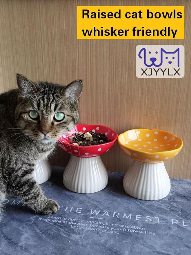 Mushroom Elevated Cat Bowls Ceramic, Cute Cat Bowls Whisker Fatigue | Raised Cat Bowl for Indoor Cats, Raised Dog Bowls Stand for Food and Water, Red+Yellow 6" Wide for Adult Cats