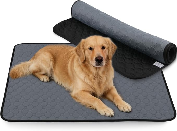 Washable & Reusable Pee Pads for Dogs, 2 Pack, 40 x 40 Inch | Super Absorbent, Waterproof TPU, Machine Washable & Reusable, Non-Slip Bottom, Floor Protection