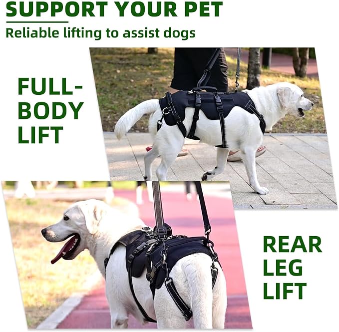 PUPTECK Dog Lift Harness for Medium Large Sized Dog, Rehabilitation Sling for Hind Leg Support, Multifunctional Mobility Assistance Harness for Old, Disabled, Joint Injuries, Paralysis Dog, Black XL