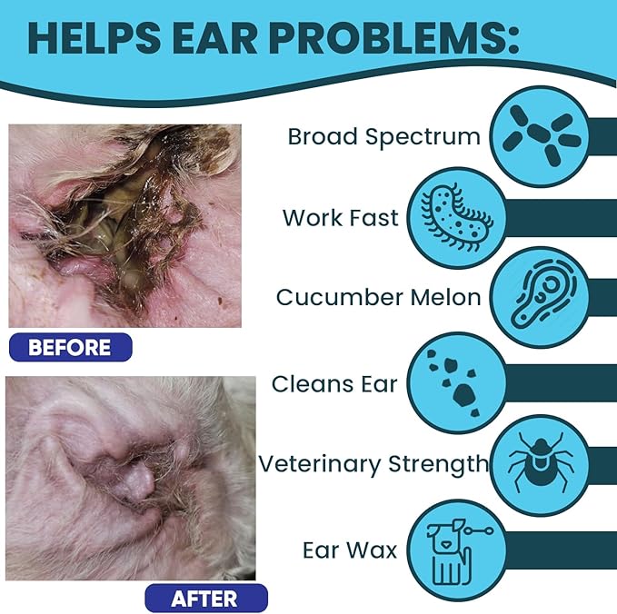 Pet Health Pharma Truseb | Dog Ear Flush Ketoconazole Dog Ear Wash, Cats and Horses, KETOCONAZOL 0.1% Tris Ear Flush for Dogs (12 oz) Made in U.S.A (Ketoconazole Ear Flush, 24 oz)