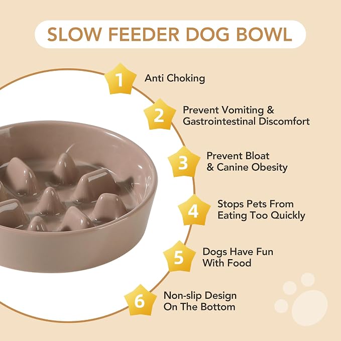 Havniva Elevated Slow Feeder Dog Bowls, Ceramic Dog Bowl Slow Feeder Set | 1.2 Cups Raised Slow Feeder Dog Bowl for Small Breed, 6.1” Dog Water Bowl with Wooden Stand, Puzzle Dog Food Bowl, Non-slip