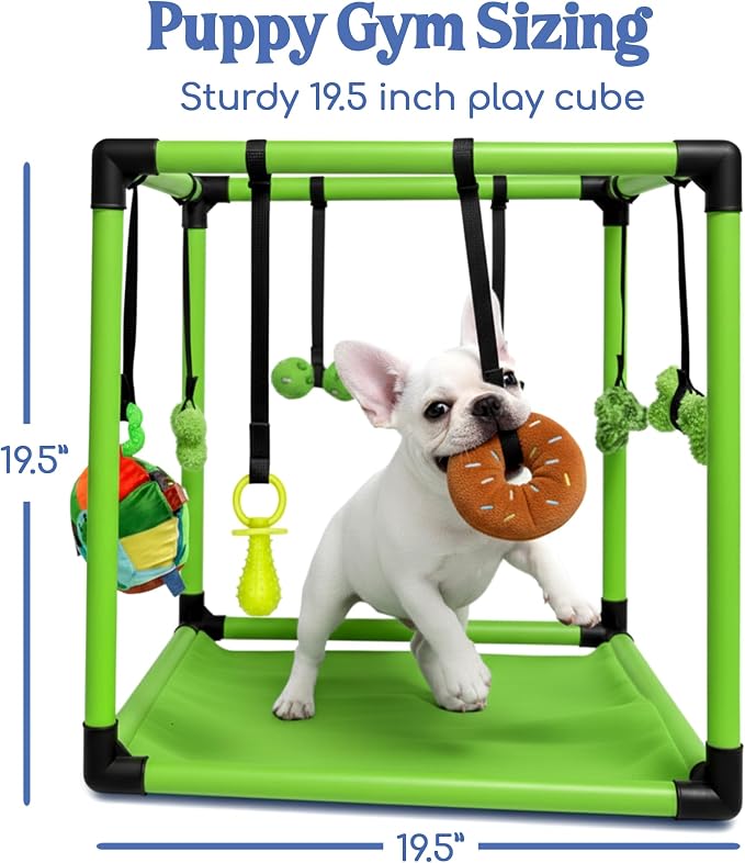 Race&Herd 19.5" Puppy Play Gym — Small Dog Jungle Activity Mat (Lime) | Dog Play Mat with 8 Bungee Straps, Interactive Puppy Active Toys — Indoor Enrichment Playground Set