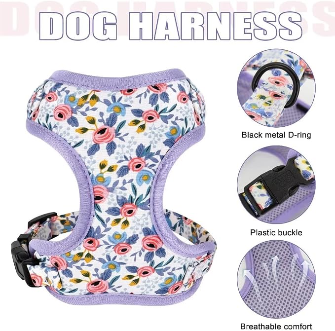 Beirui Cute Dog Collars,Harnesses,Leashes Set, Floral Pattern, Blue,XXS | Girl Dog Harness Set with Flower, Adjustable and Soft Mesh Lining, For Puppies Small & Extra Small Dogs Daily Walks