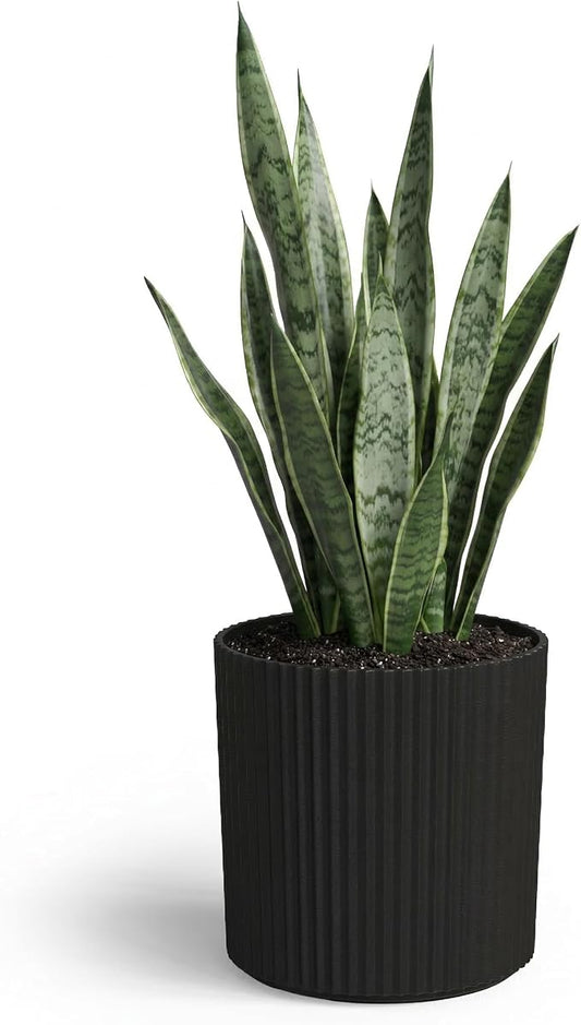 Mayne Haven 10-Inch Fluted Planter, Round Planters for Outdoor Plants, Lightweight Concrete Look Plant Pots for Porch, Patio, Garden and Entryway Décor, Black