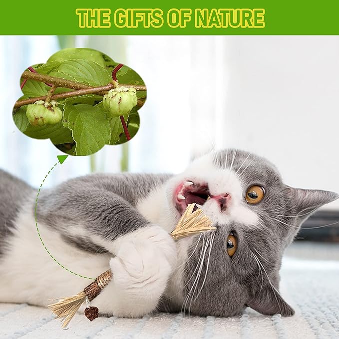 BAWAN Catnip Toys‖ Silvervine for Cats: Cute Cat & Kitten Toys for Indoor Cats Interactive‖ Cat & Kitten Teething Chew Toys for Aggressive Chewers‖ Silvervine Sticks Ca.t Dental Toy (3PCS)