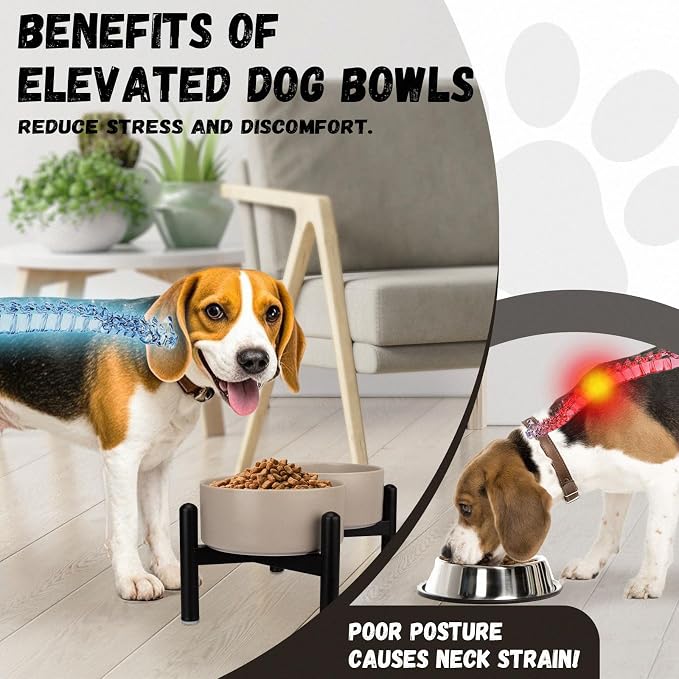 Raised Ceramic Dog Bowl Set with Stand, 3.5 Cups Elevated Dog Food Stand | 6.1'' Double Dog Food and Water Bowl Set, Non-Slip Dog Feeding Dishes for Small to Medium Breeds, 29.57 OZ, Grey