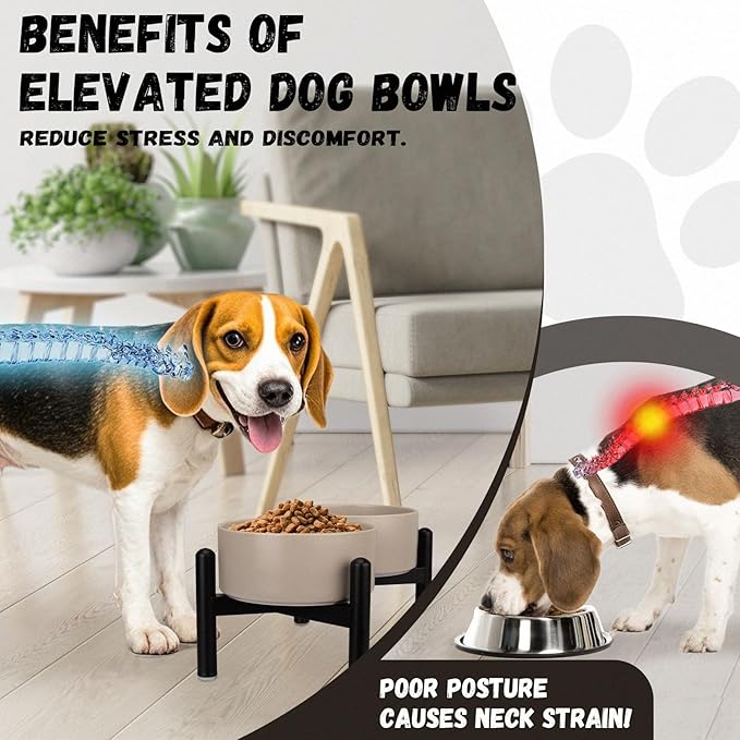 Raised Ceramic Dog Bowl Set with Stand, 3.5 Cups Elevated Dog Food Stand | 6.1'' Double Dog Food and Water Bowl Set, Non-Slip Dog Feeding Dishes for Small to Medium Breeds, 29.57 OZ, Green
