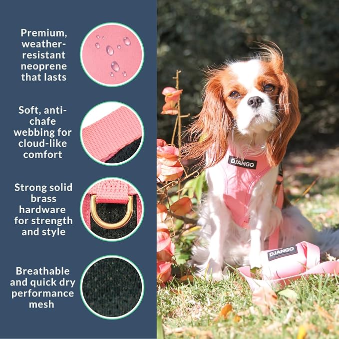 Adventure Dog Harness - Stylish, and Durable Medium Dog Harness for Outdoor Adventures and Everyday Wear - Quartz Pink Neoprene Adjustable Harness for Dogs with Reflective Piping, Brass D-Ring