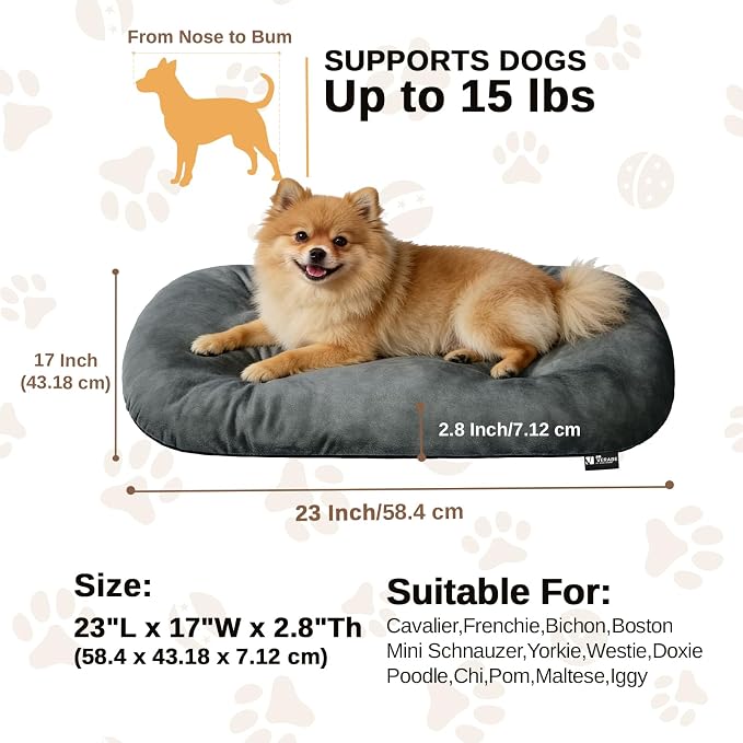 Washable Oval Small Dog Bed, Silver-Tipped High-Resilience, Dark Gray | Non-Slip Bottom Prevents Sliding,Soft Plush Short Fur,Machine Washable Cushion,Ideal for Crates & Small Spaces,23"x17"x2.8"
