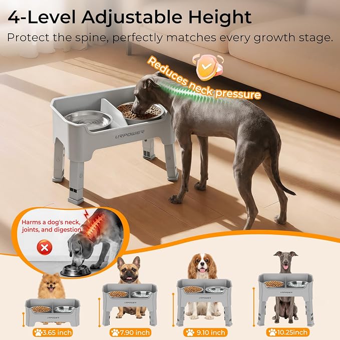 URPOWER Mess Proof Elevated Dog Bowls, Splash Guard Raised Bowl Stand | 4 Adjustable Heights, 2 Stainless Steel Bowls, Food & Water Separation, Non-Slip Base, Foldable Design for Small Dogs