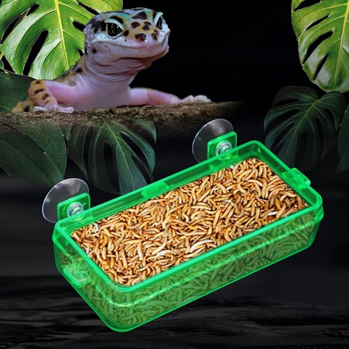 Reptile Feeder Chameleon Bowl 2 Pcs Anti-Escape Food Dish Bowl with Suction Cup for Chameleon Iguana Lizard Reptile Food and Water Feeding (Green, M)