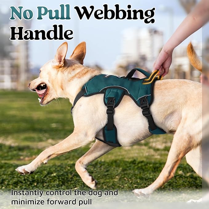 rabbitgoo Escape Proof Dog Harness for X-Large, No Pull with Lift Handle | No Escape, Full Soft Padded, Reflective Adjustable Vest, Leash Clip for Walking Hiking Training, Dark Green, X-Large