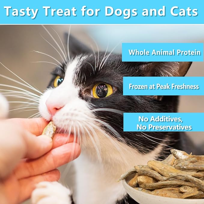 Freeze Dried Minnows Cat & Dog Treats, 6.5 oz, Single Ingredient, Grain Free, All Life Stages