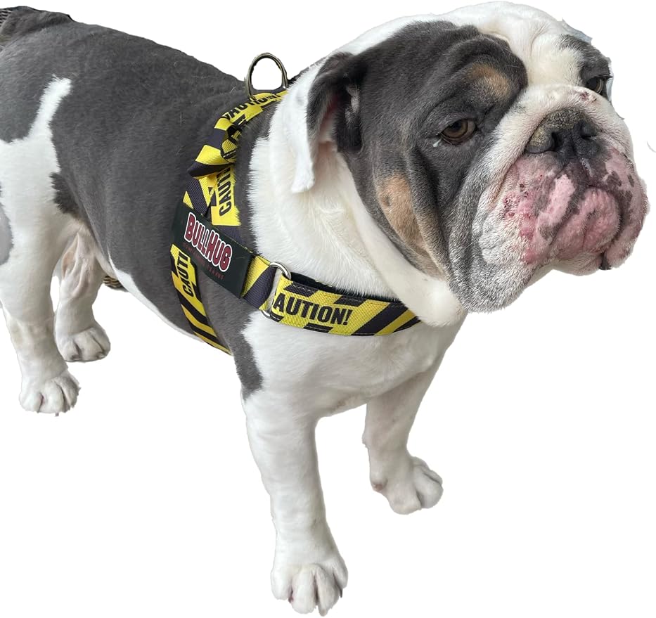 Adjustable Dog Harness– No Pull, No Choke – for English Bulldogs, French Bulldogs, Pugs & Broad-Chested Breeds – Easy, Safe Walks (Caution, Large)
