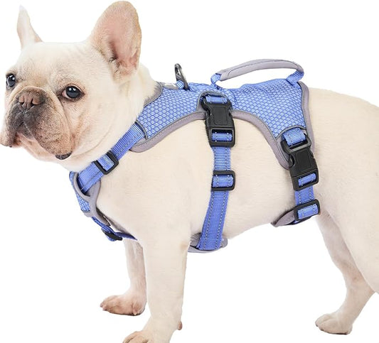 Escape Proof Dog Harness, Dachshund Harness, Reflective Dog Harness with Handle, Durable,Adjustable Vest for Small Medium Large Dogs Walking, Training, and Running Gear (Technicolor Blue,M)