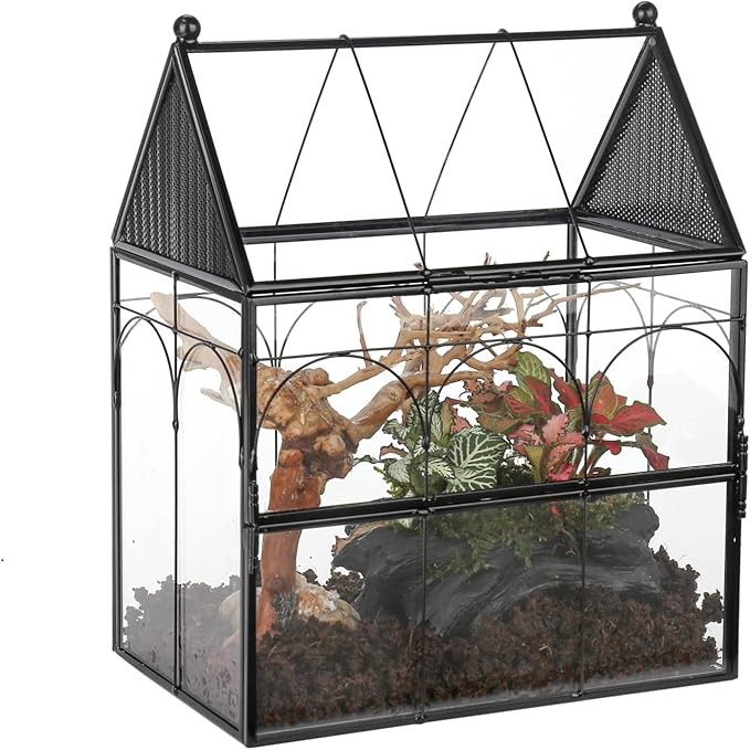 NCYP Glass Enclosure with Vent Holes for Jumping Spiders, Praying Mantis, Small Insect - 7.5" x 4.9" x 9" Front Opening Door Vented Glass Terrarium - House Shape, Home Decor, Black (Terrarium Only)