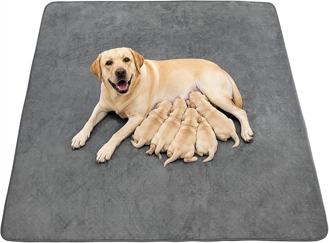Washable Dog Pee Pads: 34x52 1 Pack Reusable Whelping Pads, Absorb Dog Mats Non-Slip Puppy Training Pads for Whelping, Potty, Training, Playpen, Crate