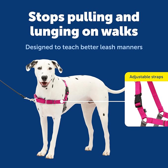 PetSafe Easy Walk Harness, No Pull Dog Harness, Raspberry, Medium/Large | Patented Martingale Loop Gives Gradual Shoulder Pressure to Stop Pulling, Front-Chest Leash Clip Prevents Gagging