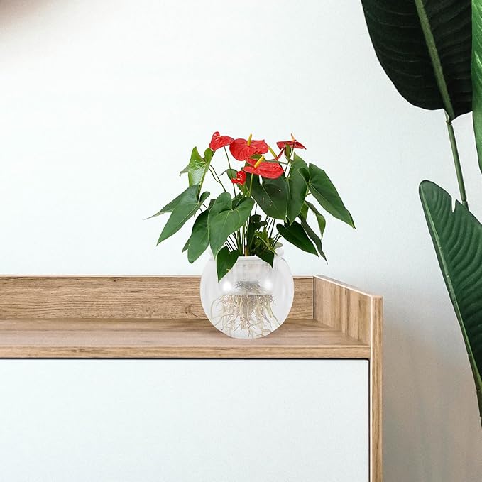 BESPORTBLE Small Round Betta Fish Bowl Plastic Aquarium Bowl with Water Cultivation Basket 110c Medium Desktop Plant Terrarium for Living Room Ecosystem