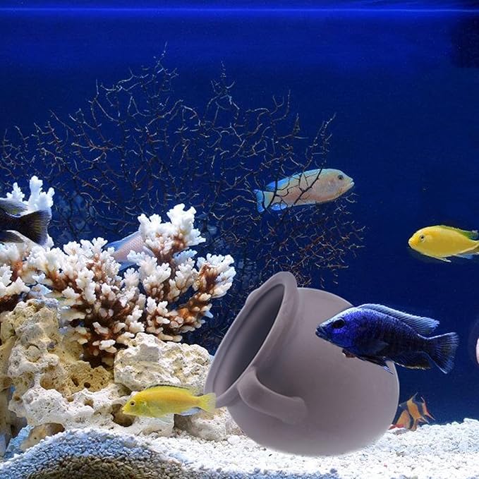 AnRui Ceramic Jar Aquarium Ornament Decor Natural Clay Vase Betta House Hideout Cave Pot Fish Tank Decorations Accessories for Cichlid, Small Fish, Shrimp to Play Hide Breed Habitat, Large
