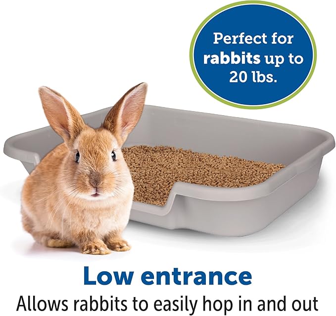 BunnyGoHere Rabbit Litter Box Misty Gray Color Large Size. Review Size Photo Prior to Ordering