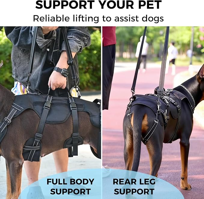 BINGPET Dog Lift Harness for Large Dogs, Full Body Adjustable Handle Sling | Reflective Lifting Harness Rehabilitation Sling Carrier with Soft Padded Handle, Mobility Assistance Vest for Senior Pets