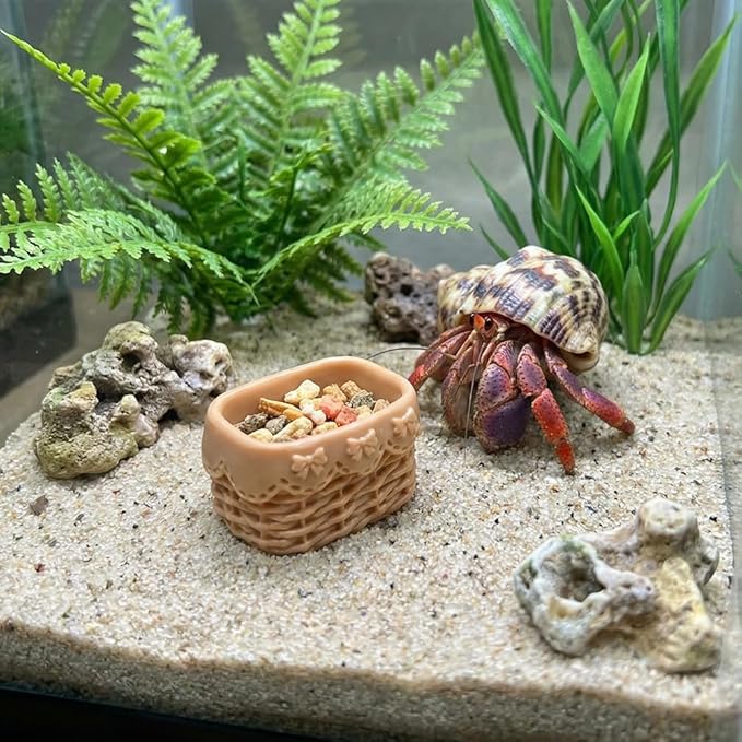 DQITJ 6 Pcs Jumping Spider Water Bowl Food Dish Micro Basket Decor for Hermit Crab Tarantula Snail Millipede Small Reptiles