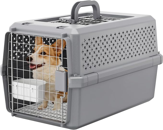 RIZZARI Gray Pet Carrier for Medium Dogs & Cats, Hard-Sided Travel Kennel | Spacious Interior,Reinforced Side Latches,Stable Carrying Handle,Wide Front Entry,Supports Daily Travel,Light weight to Carry