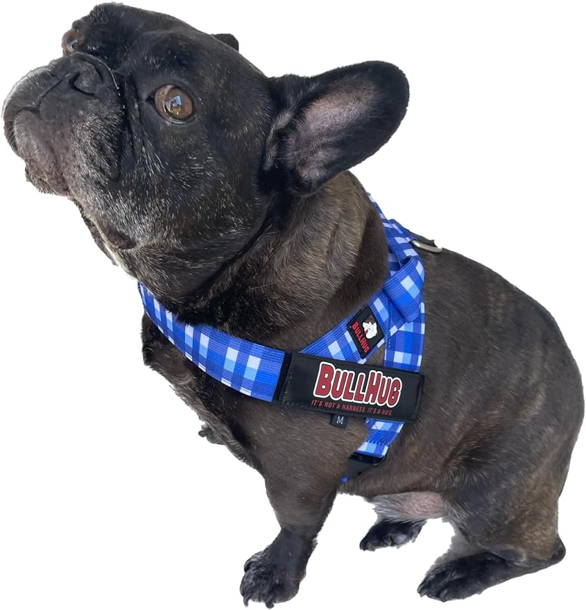 Adjustable Dog Harness– No Pull, No Choke – for English Bulldogs, French Bulldogs, Pugs & Broad-Chested Breeds – Easy, Safe Walks (BLUEWHITE, XL)