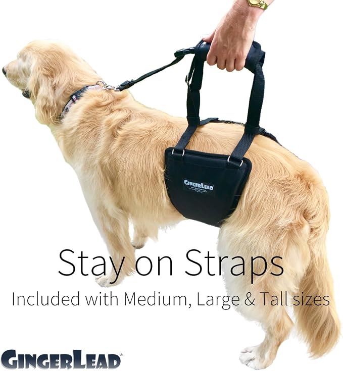Dog Sling Hind Leg Support, M/LG Unisex with Cutout, Made in USA | Help Pets Walk, K9s Recover from Surgery, Fits Male & Female, Integrated Leash, Machine Wash/Dry, Chest Harness NOT Included