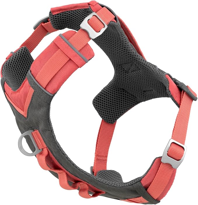 Kurgo Journey Air Dog Harness, Coral, Large | Padded Chest, Ripstop Outer & Breathable Mesh, Back Assist Handle, Rust-Free Aluminum Hardware, Reflective Trim