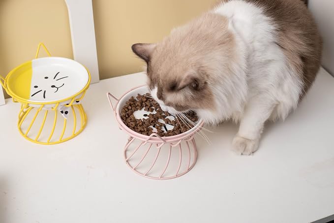 Set of 2 Elevated Ceramic Cat Dishes, Pink & Blue | Pink & Blue Set Detachable Bowls Elevated Design Whisker Friendly Non-Slip Pads