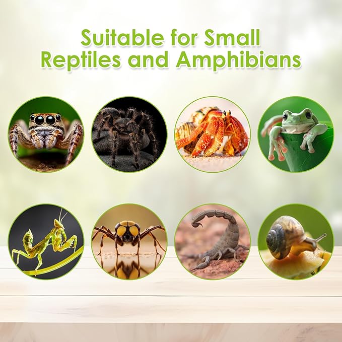 Reptile Terrarium Enclosure 12"x 8"x 6" Acrylic Tarantula Breeding Box Magnetic Hermit Crab Habitat Tank Transparent Jumping Spider Cage for Insect Snail Amphibians Sling Isopods