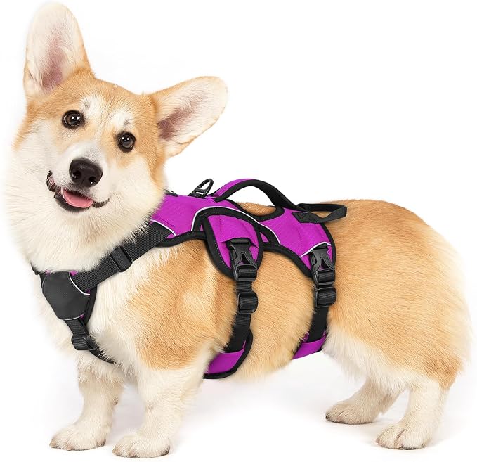 rabbitgoo Escape Proof Dog Harness for Small, No Pull with Lift Handle | No Escape, Full Soft Padded, Reflective Adjustable Vest, Leash Clip for Walking Hiking Training, Purple, Small