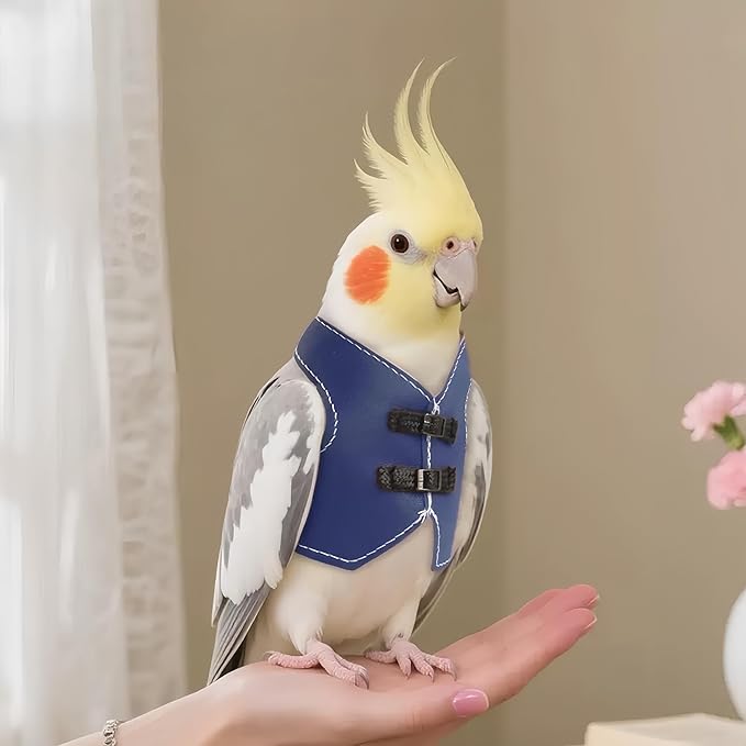 Bird Clothes, Parrot Leather Jacket, Cute Bird Costume Cosplay Photo Prop, Parrot Apparel for Eclectus, Budgerigar, African Greys Parakeet, Conure, Cockatiel, Love Birds-Cowboy Style,Blue,M