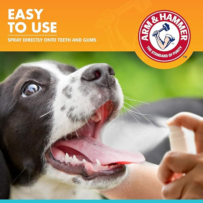 Arm & Hammer for Pets Dog Oral Care Spray, Mint Flavor Breath Freshener & Teeth Cleaning, Baking Soda Enhanced Plaque & Tartar Support, Easy Brushless Dental Care for Adult Dogs, 4 Fl Oz - 2 Pack