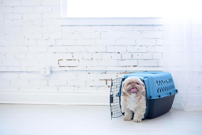 Petmate Fashion Vari Dog Kennel - Portable Crate for Pets 10-20 lbs - Airline-Friendly Pet Carrier - Durable Plastic Shell - For Home and Travel - Made in USA - 24 Inches - Light Blue | Airline friendly travel crate, durable plastic shell, secure carri...