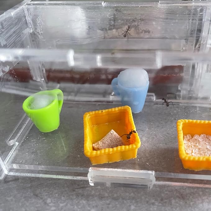 Spider Micro Water Bowl, 3 Pack Mini Liquid Feeder Ant Bowl, Ant Farm Water Feeder, Small Insect Water Bottle, Food Bowl Tarantula Mini Dish for Millipede Tiny Bugs Reptiles